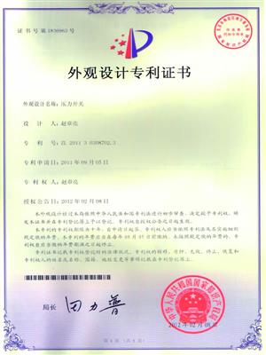 Patent certificate of DP switches 