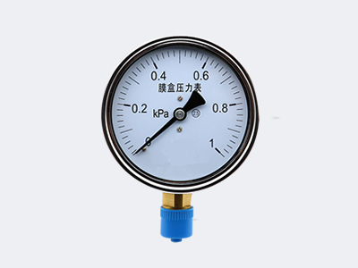 YE-100 Ordinary Type Capsule pressure gauge